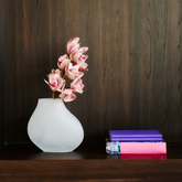 Orquídea Cymbidium H62